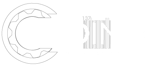 Logo de coding